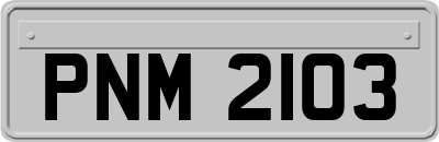 PNM2103
