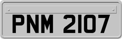 PNM2107