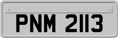 PNM2113