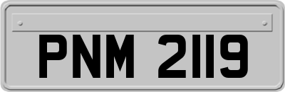 PNM2119