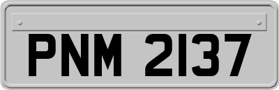 PNM2137
