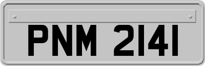 PNM2141