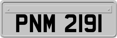 PNM2191