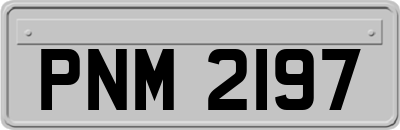 PNM2197
