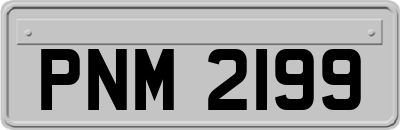 PNM2199