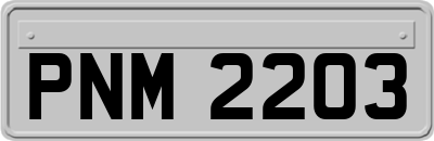 PNM2203