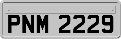PNM2229