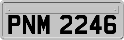PNM2246