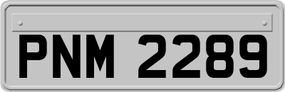 PNM2289