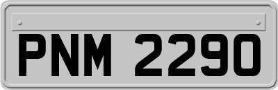 PNM2290