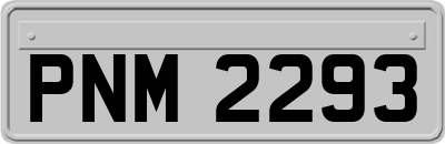 PNM2293