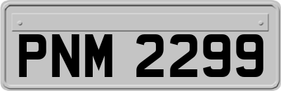 PNM2299