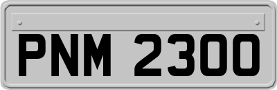 PNM2300