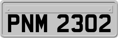 PNM2302