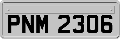 PNM2306
