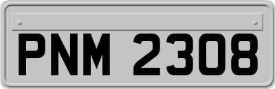 PNM2308