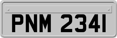 PNM2341
