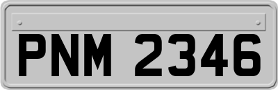 PNM2346