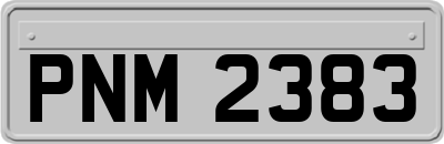 PNM2383