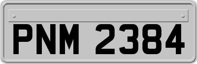 PNM2384