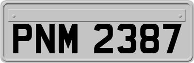 PNM2387