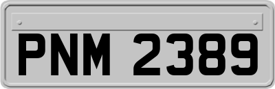 PNM2389