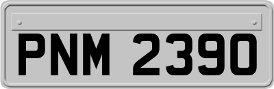 PNM2390
