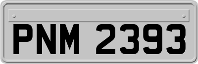 PNM2393