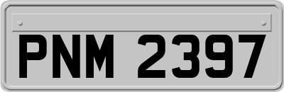 PNM2397