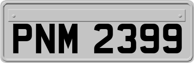 PNM2399