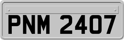PNM2407