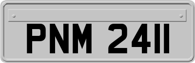 PNM2411