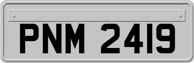 PNM2419