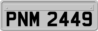 PNM2449