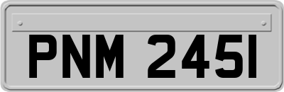 PNM2451