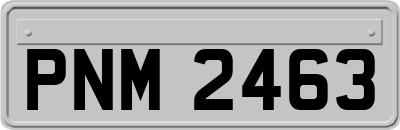 PNM2463