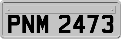 PNM2473