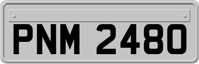 PNM2480