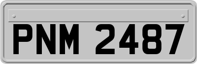 PNM2487