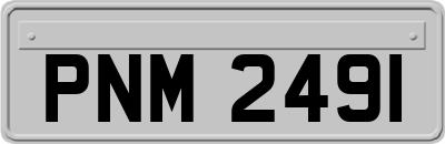 PNM2491
