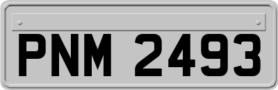 PNM2493