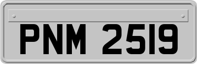 PNM2519