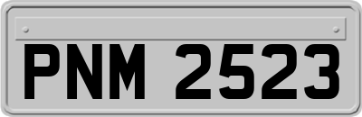 PNM2523