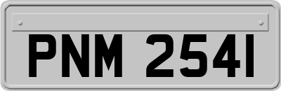 PNM2541