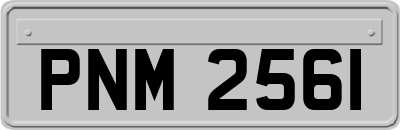 PNM2561