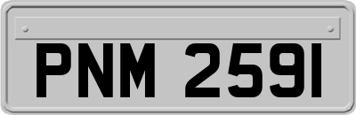 PNM2591