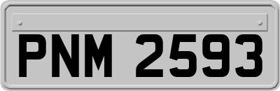 PNM2593