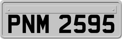 PNM2595