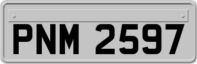 PNM2597