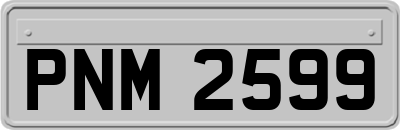 PNM2599